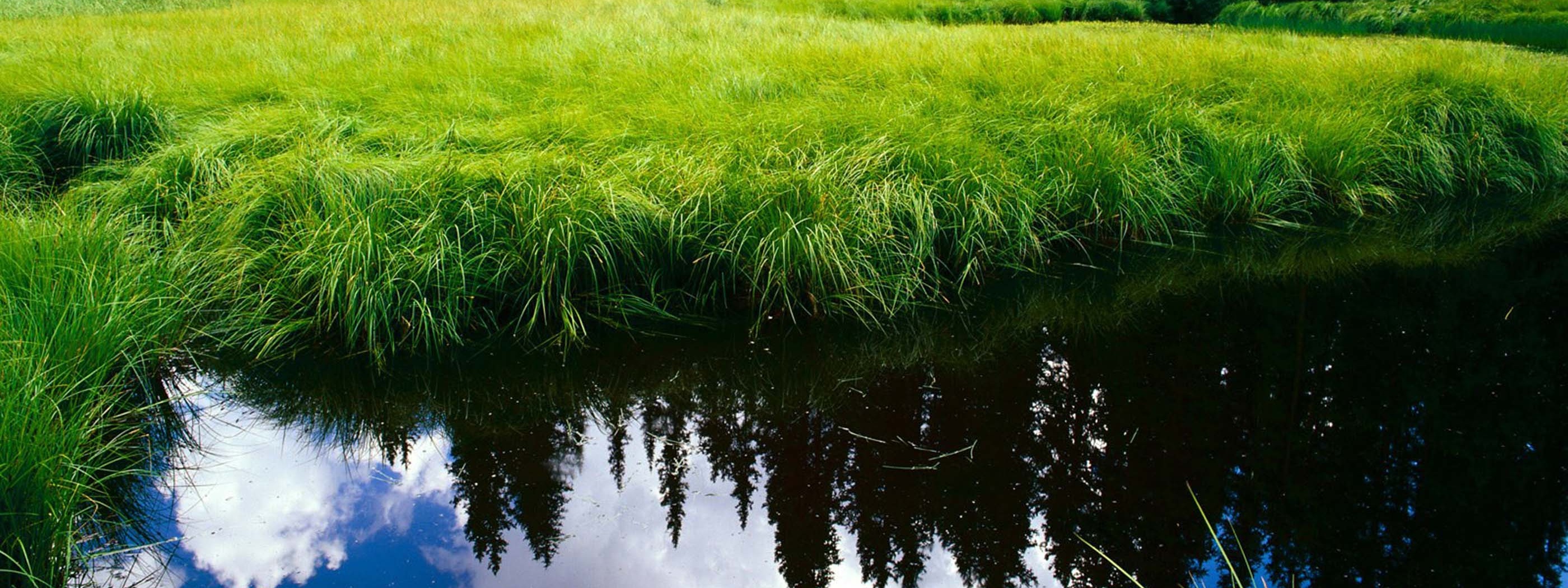 Blue Sky Reflection In The Water