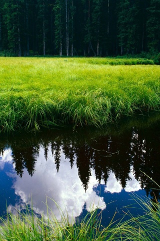 Blue Sky Reflection In The Water