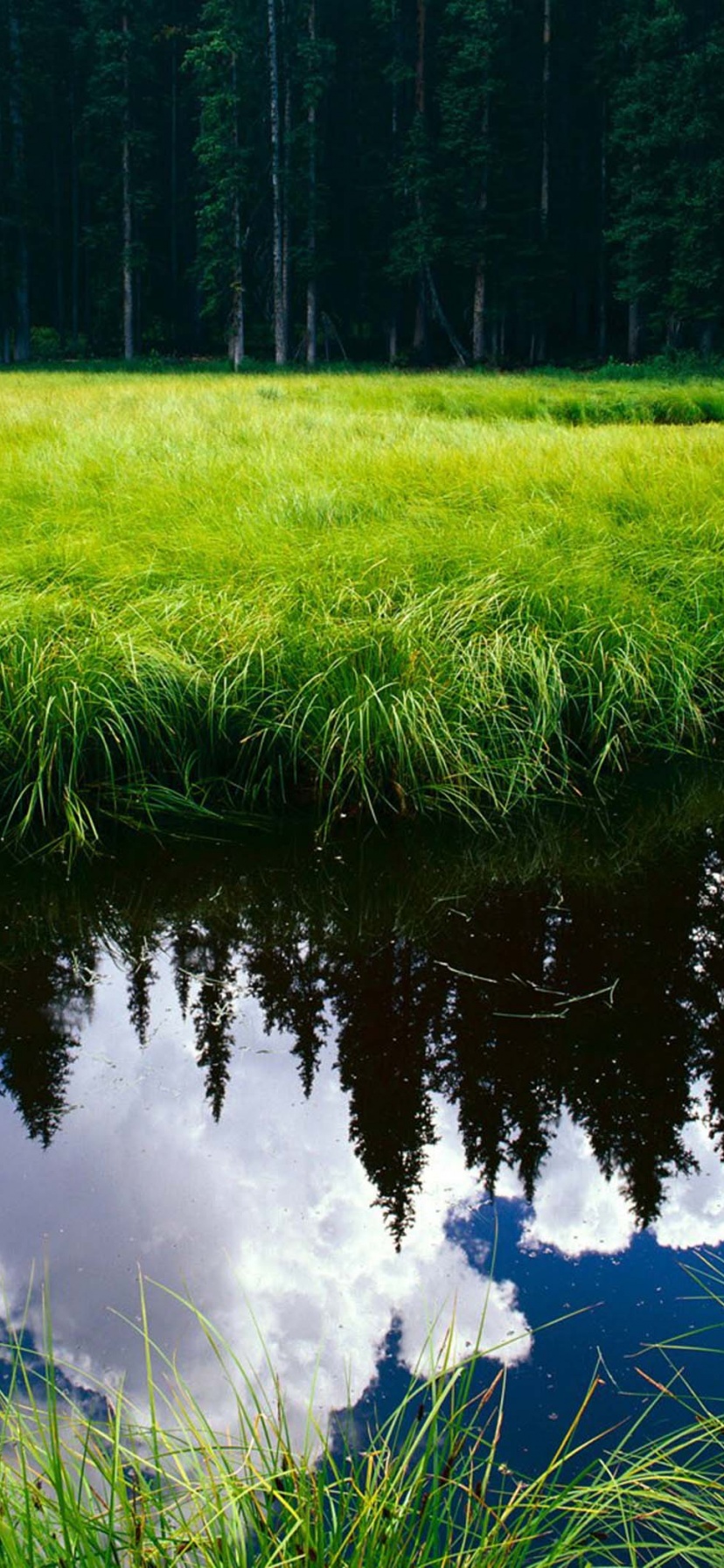 Blue Sky Reflection In The Water