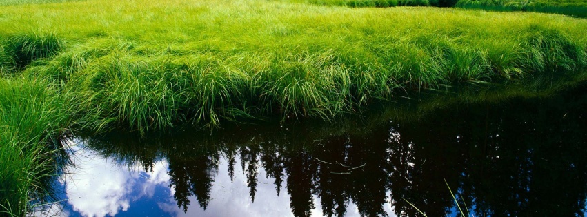 Blue Sky Reflection In The Water