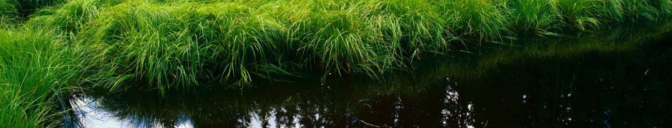 Blue Sky Reflection In The Water