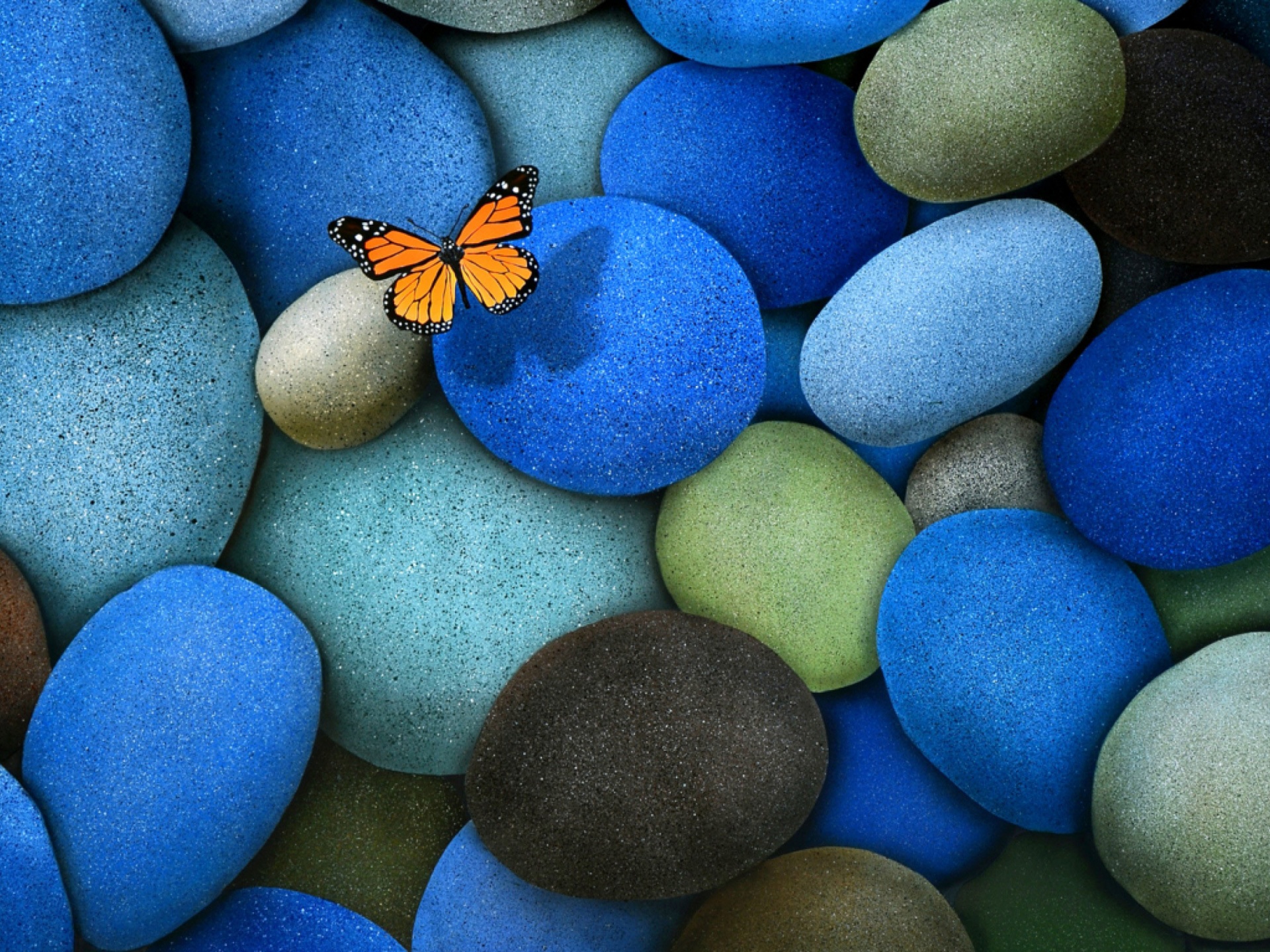 Blue Stones And Butterfly