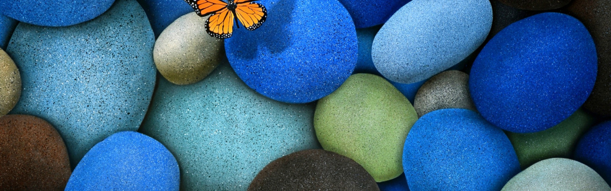 Blue Stones And Butterfly