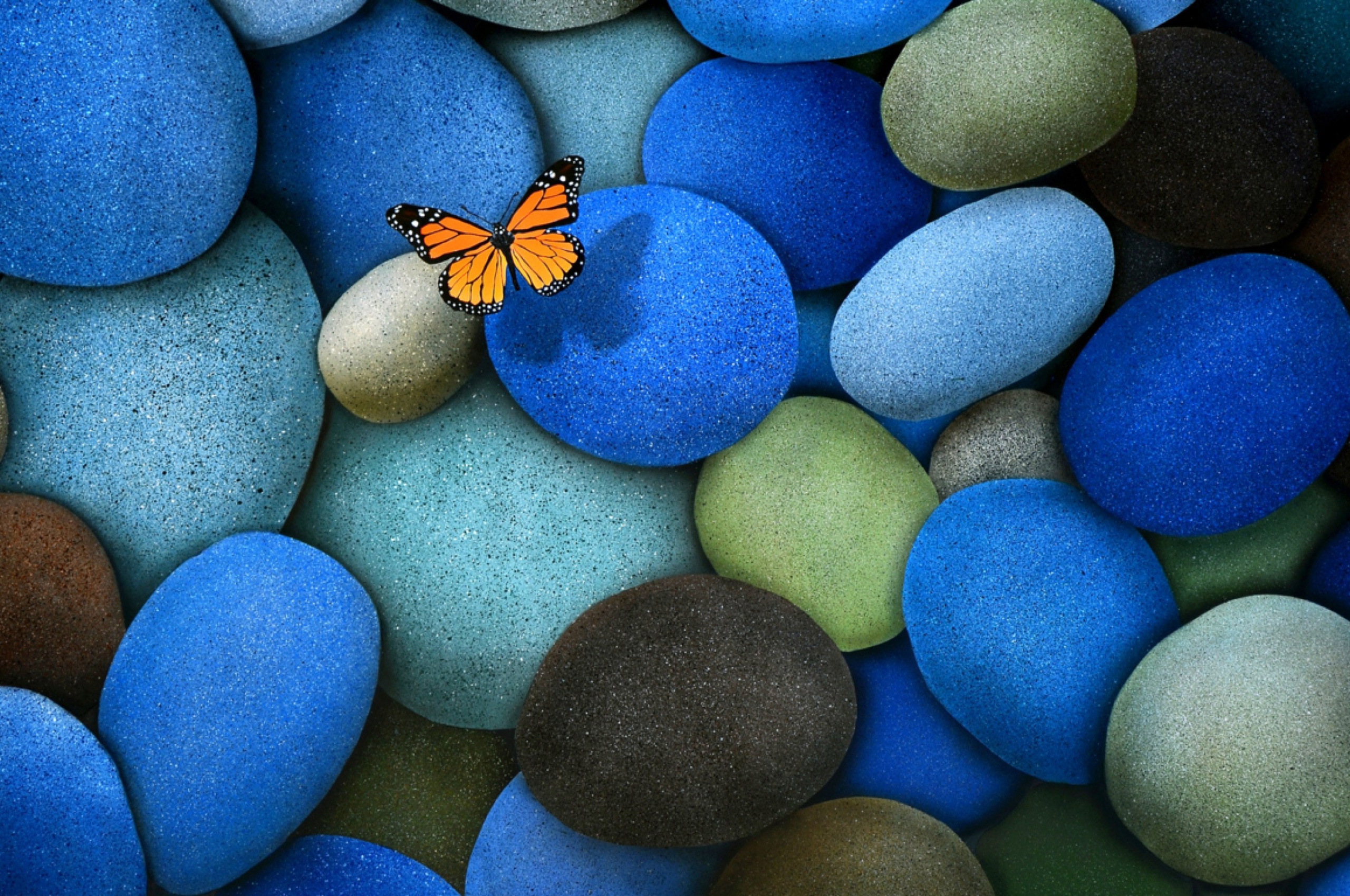 Blue Stones And Butterfly