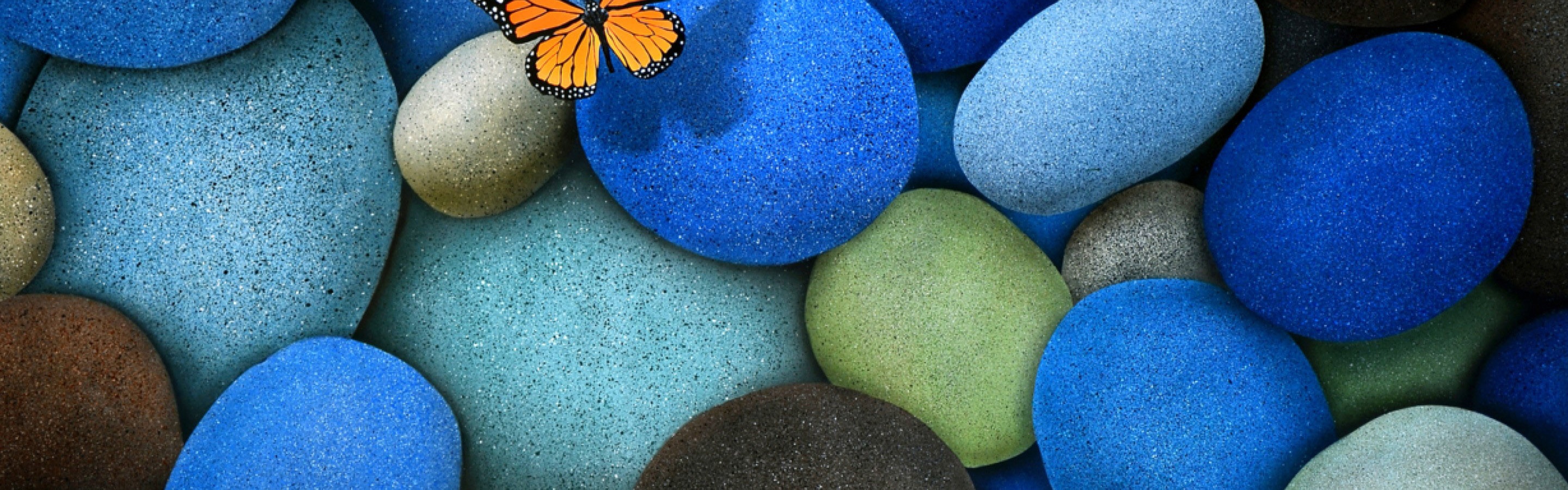 Blue Stones And Butterfly