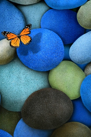 Blue Stones And Butterfly