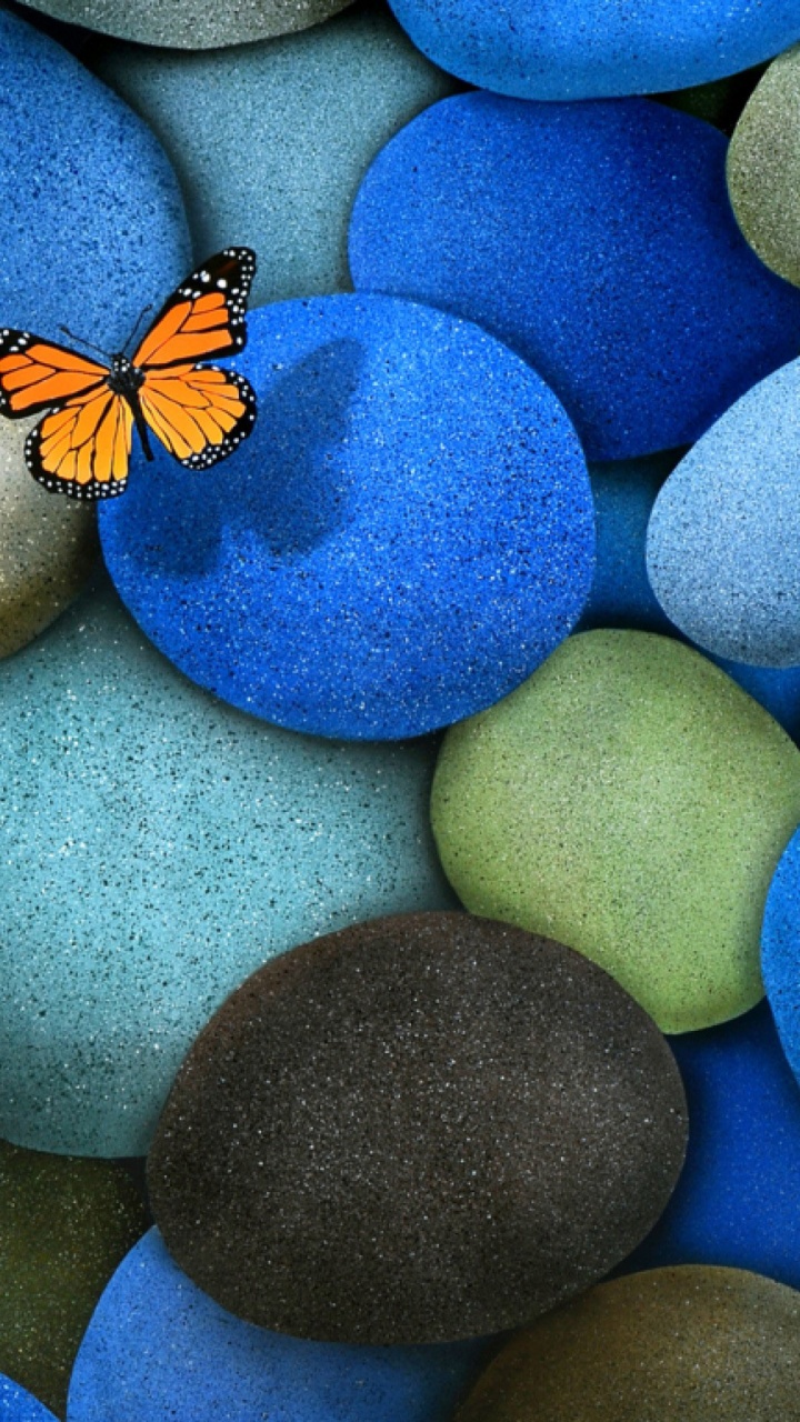 Blue Stones And Butterfly