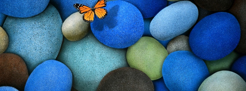 Blue Stones And Butterfly