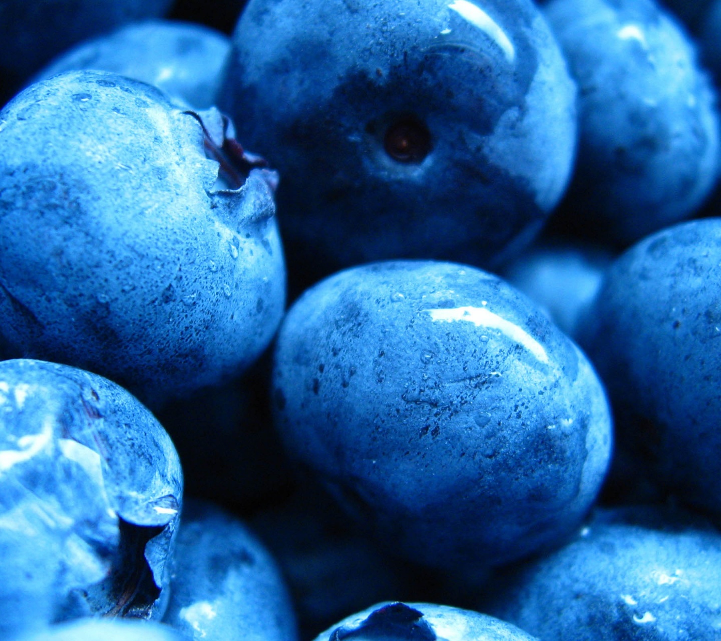 Blueberries