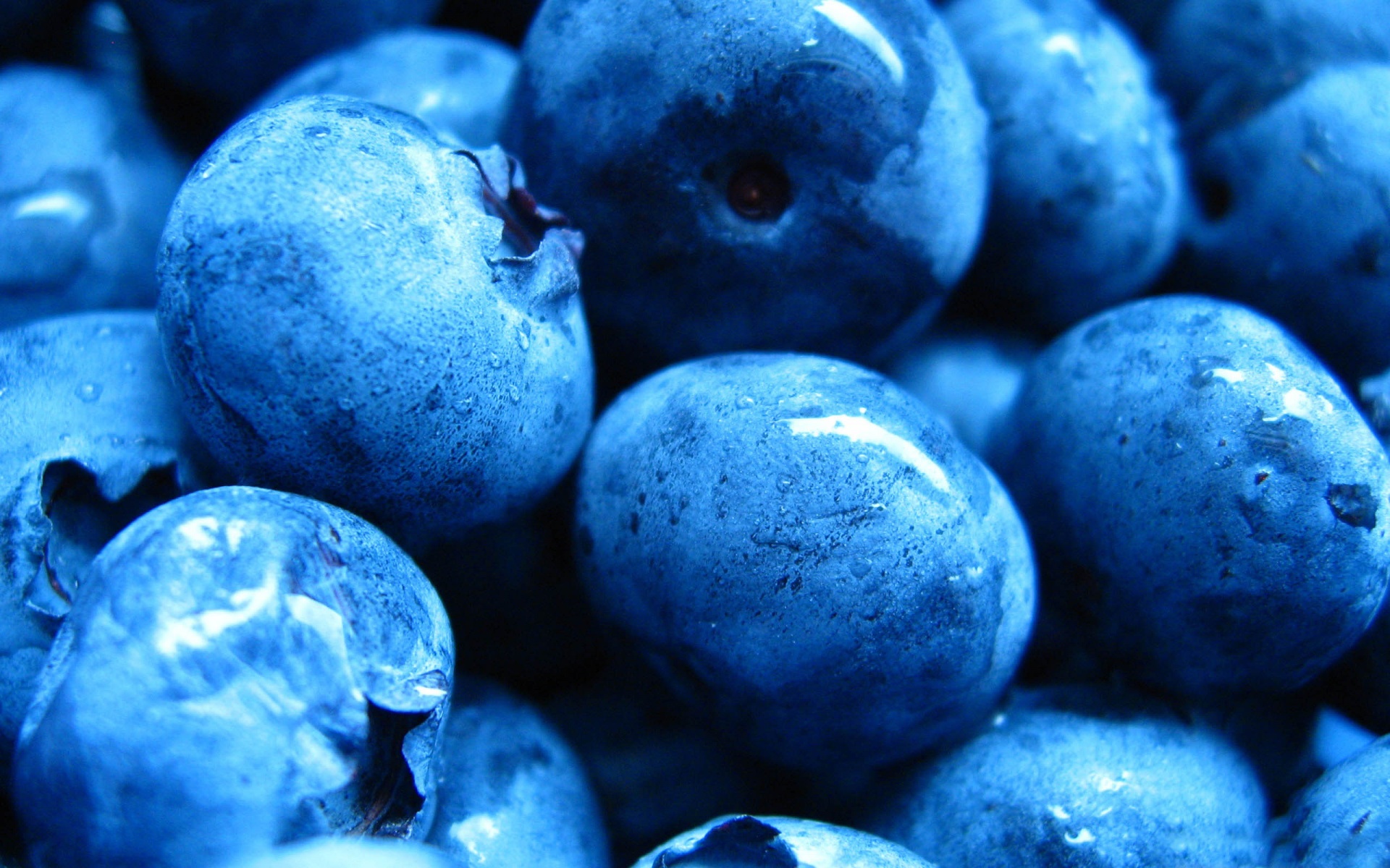 Blueberries