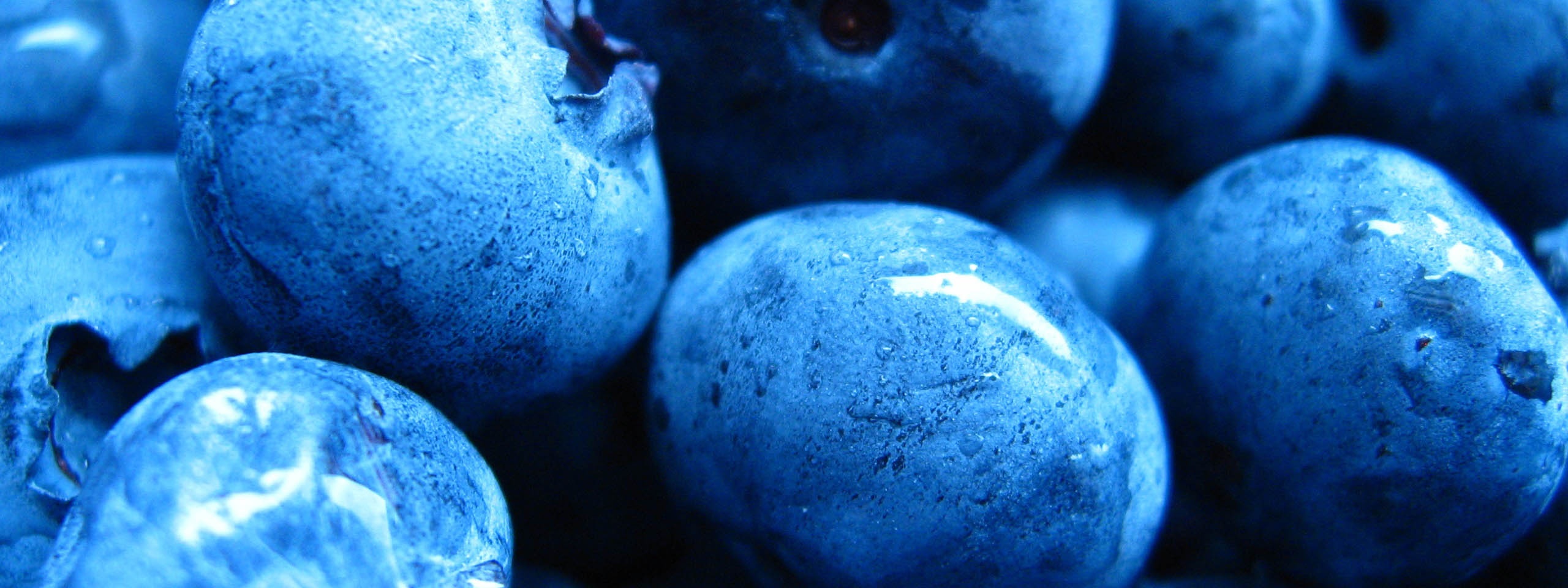 Blueberries