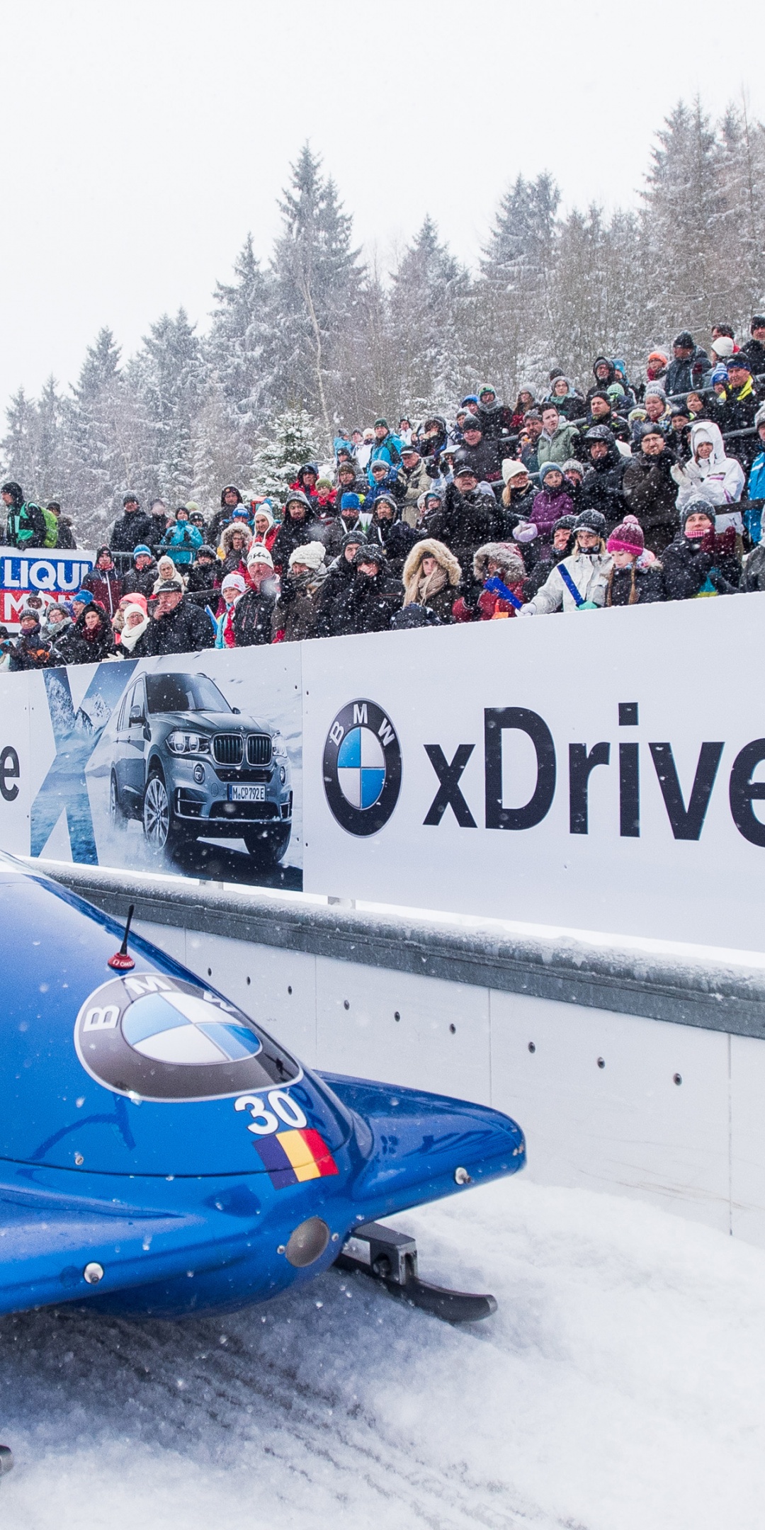 Bobsleigh Winter Sport