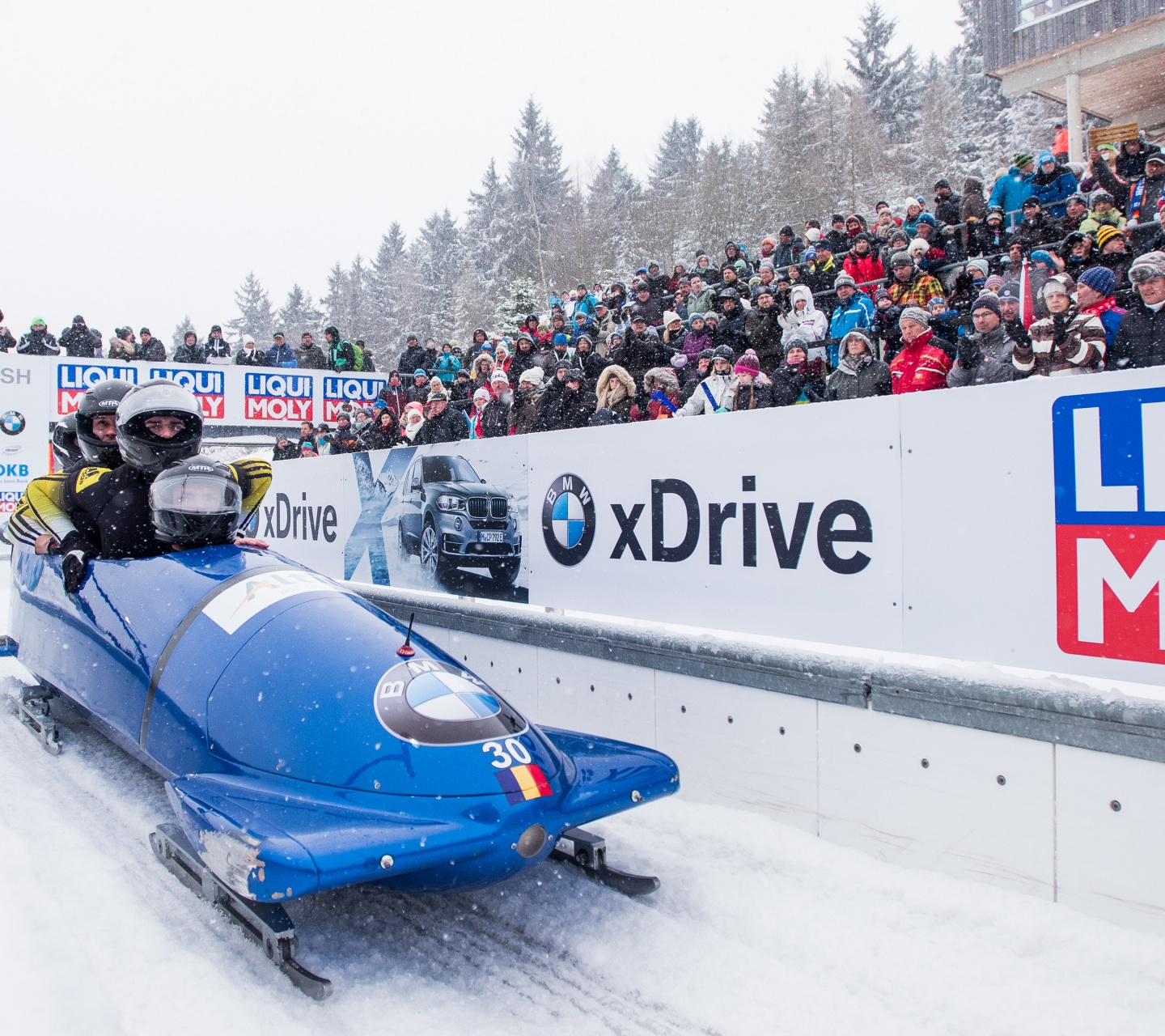 Bobsleigh Winter Sport