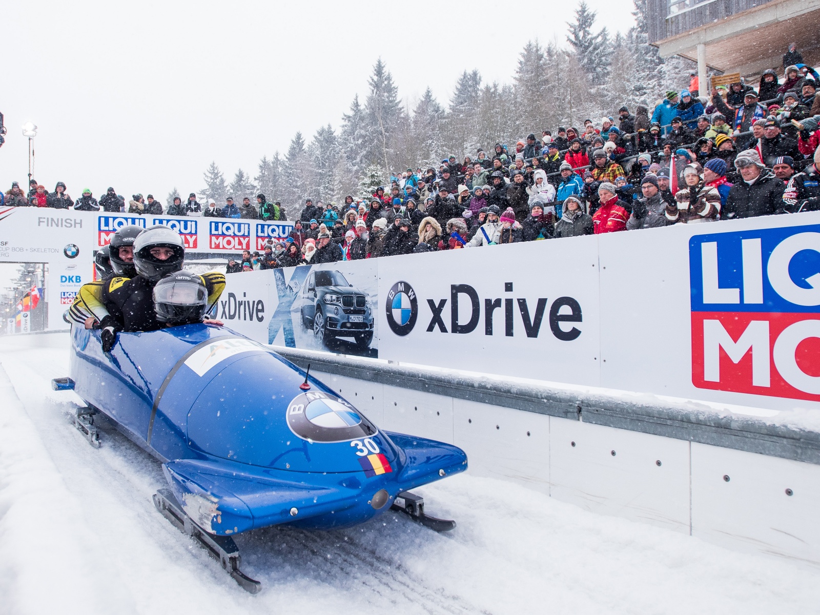 Bobsleigh Winter Sport