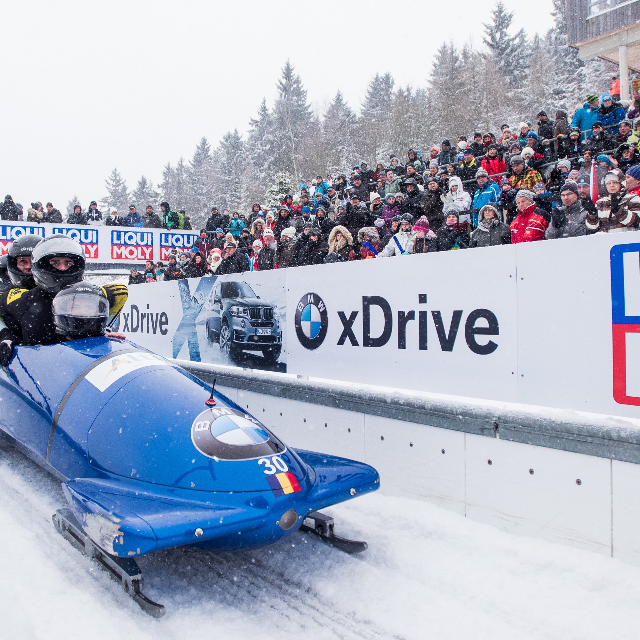 Bobsleigh Winter Sport