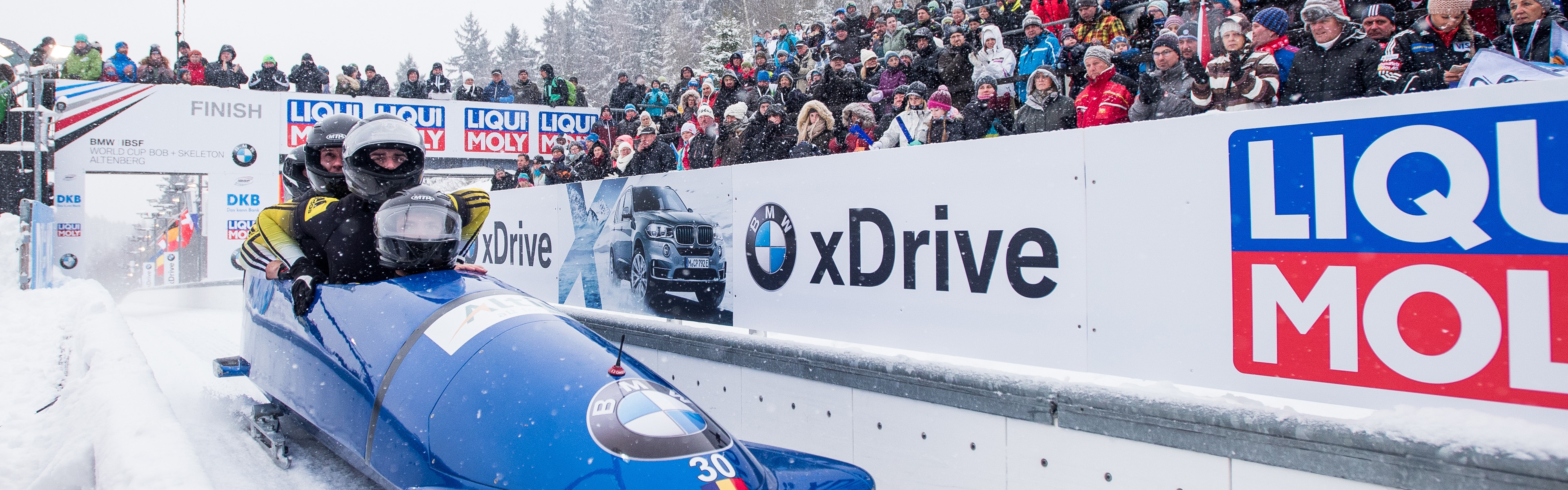 Bobsleigh Winter Sport