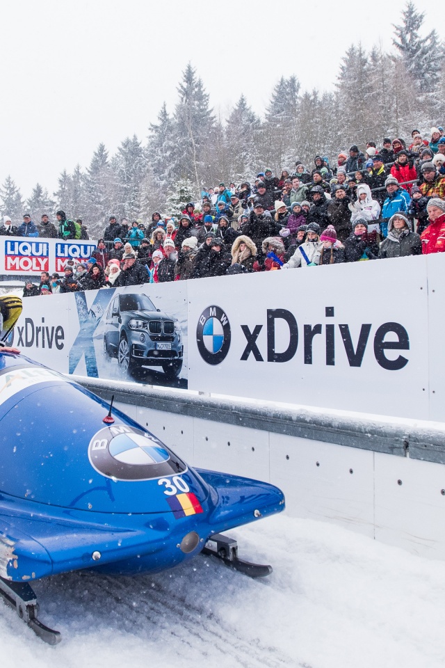 Bobsleigh Winter Sport