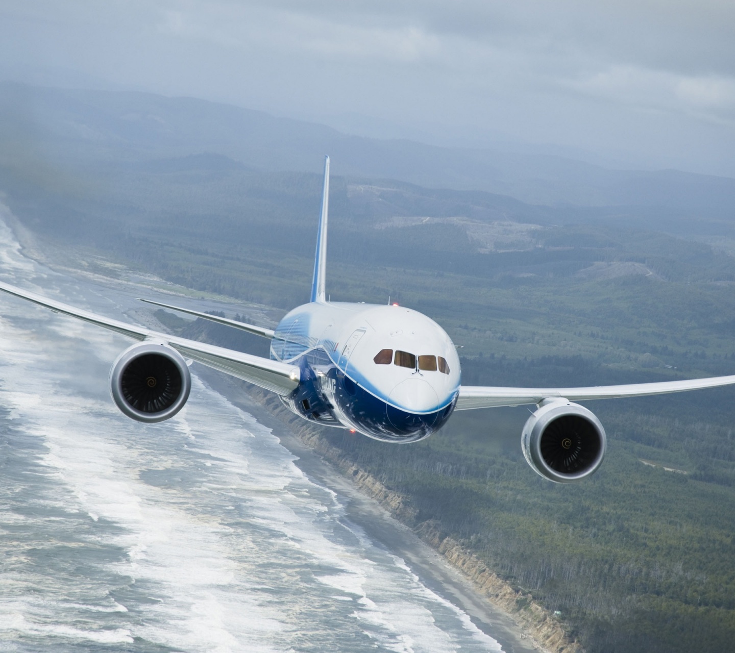 Boeing 787 Dreamliner Flying