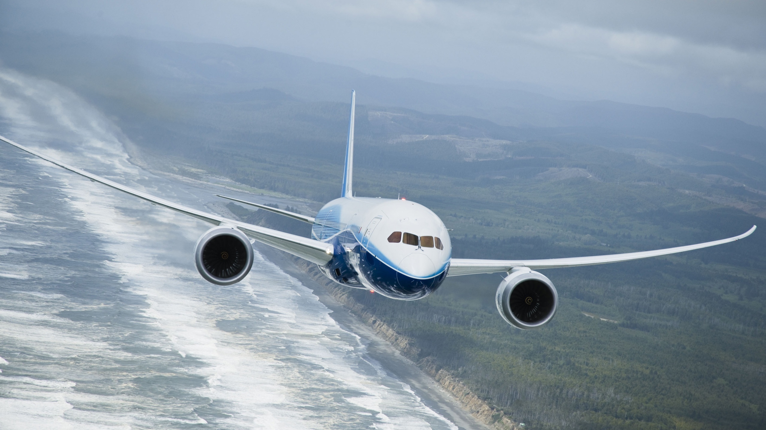 Boeing 787 Dreamliner Flying