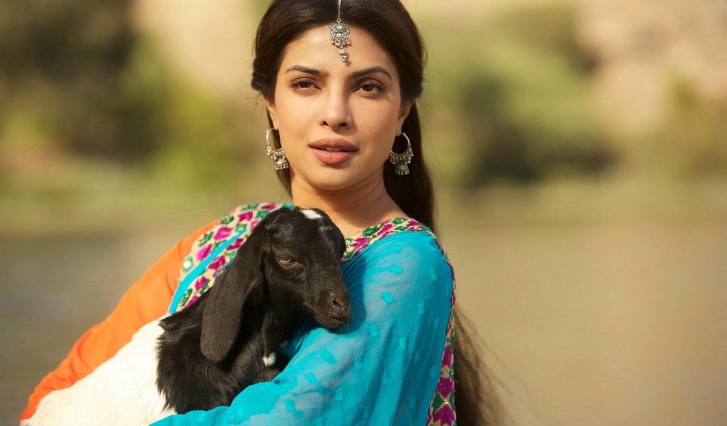 Bollywood Goats Priyanka Chopra Movie Stills Teri Meri Kahaani