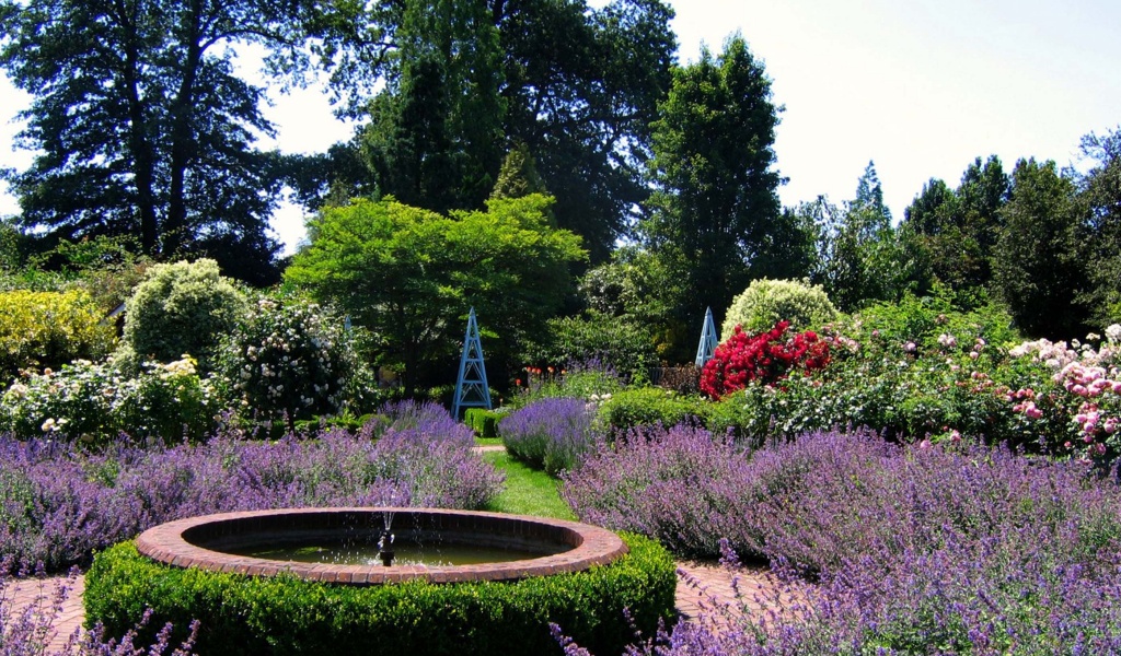 Borde Hill Gardens Sussex