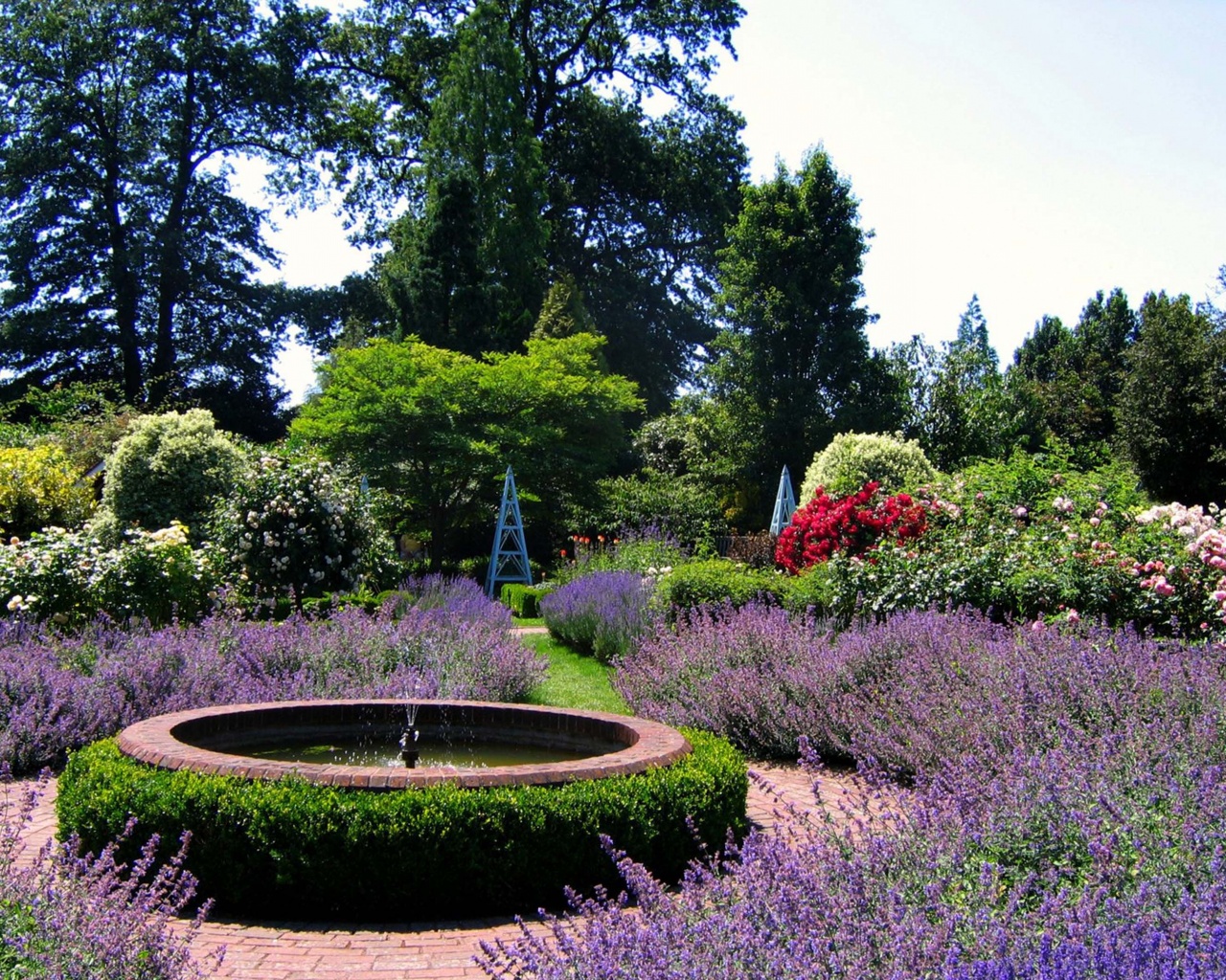 Borde Hill Gardens Sussex