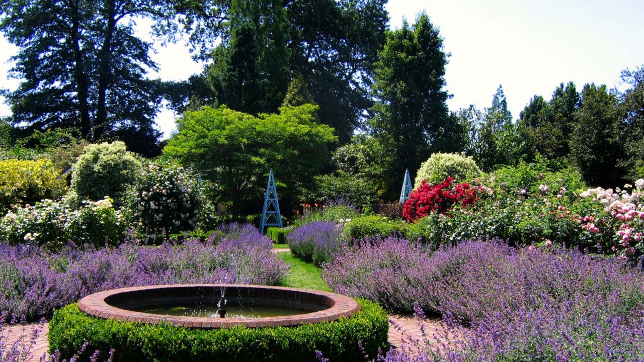 Borde Hill Gardens Sussex