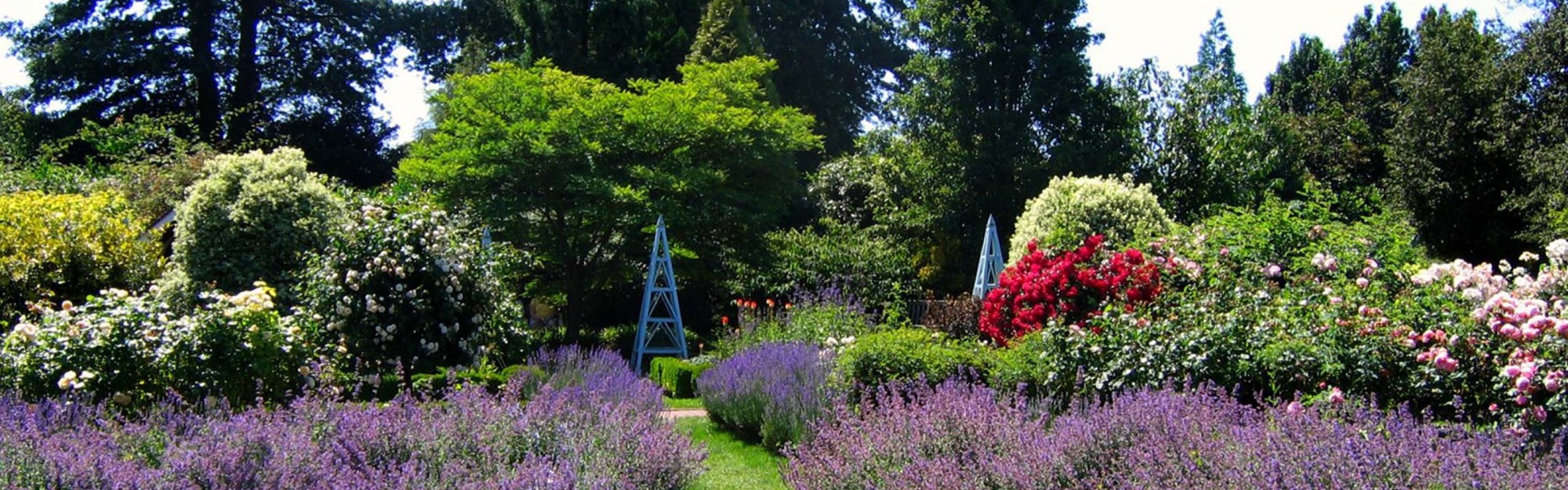 Borde Hill Gardens Sussex