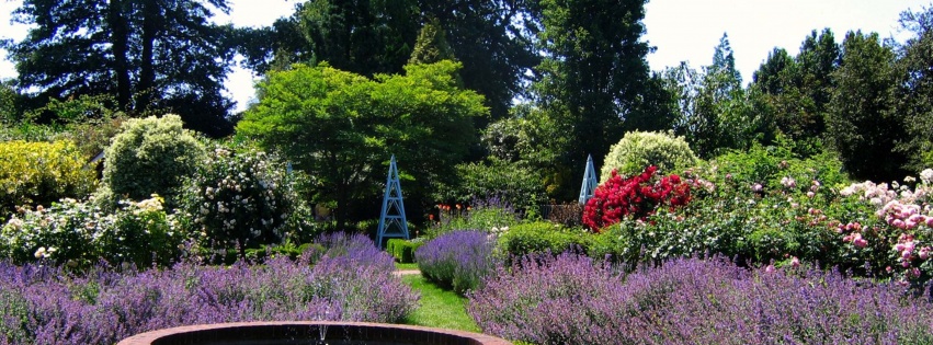 Borde Hill Gardens Sussex