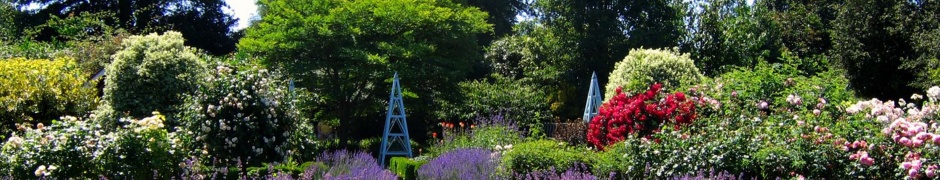 Borde Hill Gardens Sussex