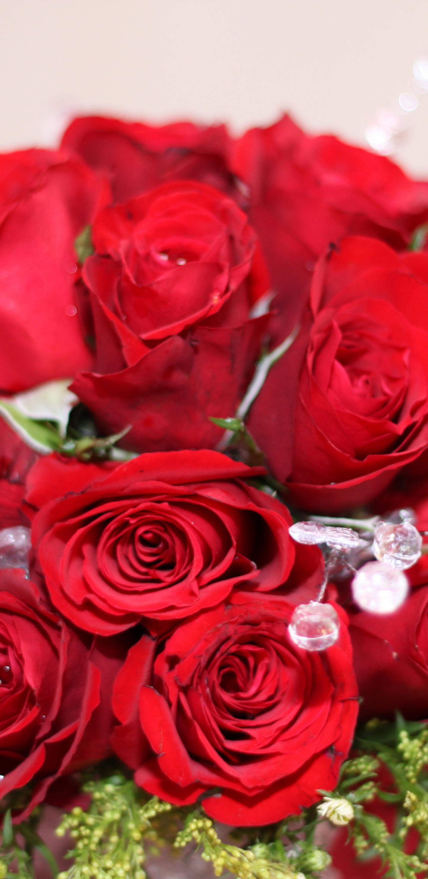 Bouquet Of Red Roses On 8 March