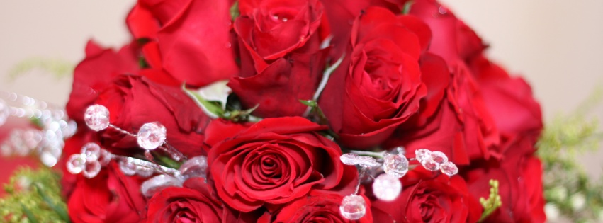 Bouquet Of Red Roses On 8 March