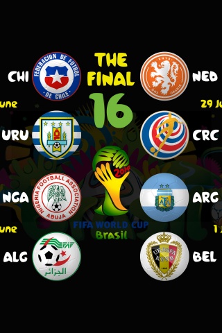 Brazil 2014 WC Round Of 16 Bracket