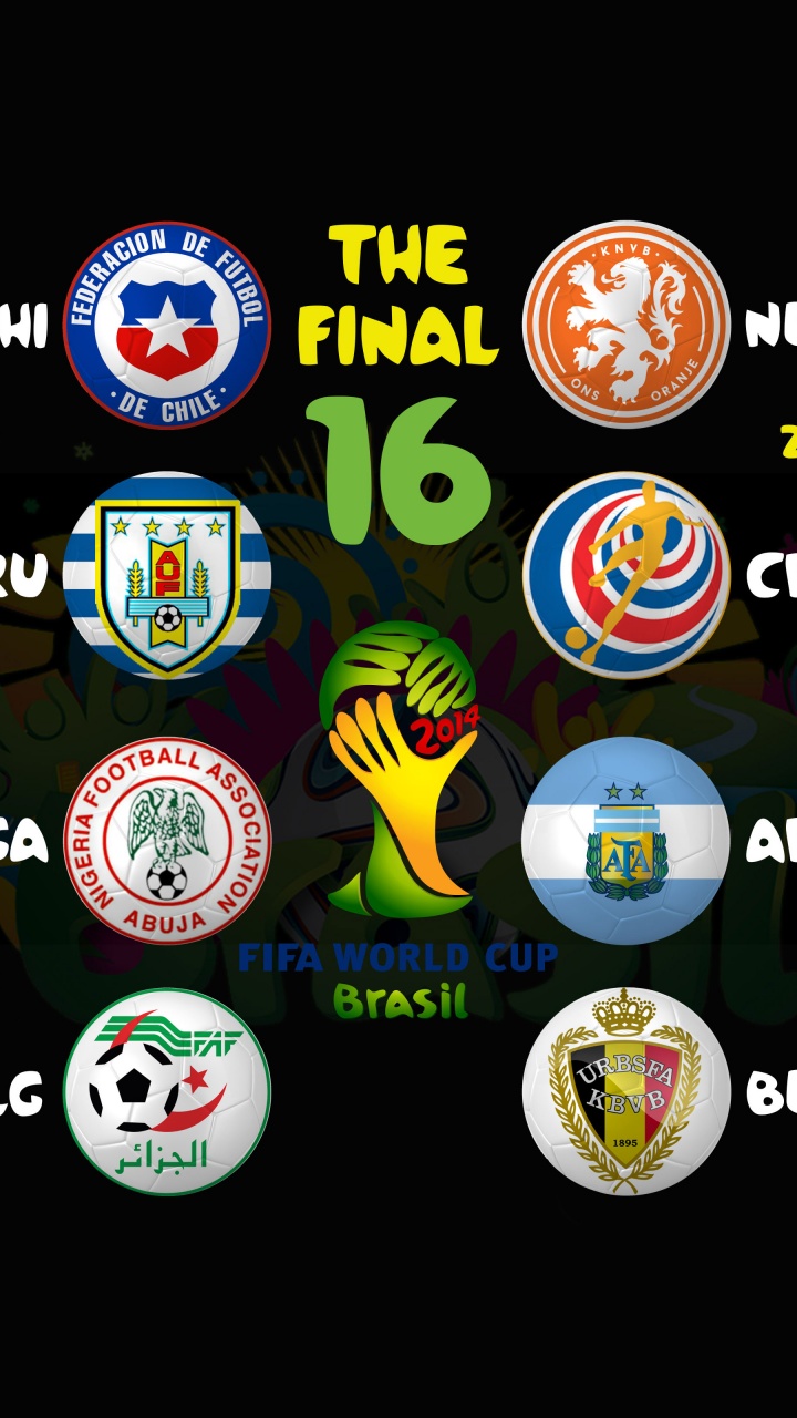 Brazil 2014 WC Round Of 16 Bracket