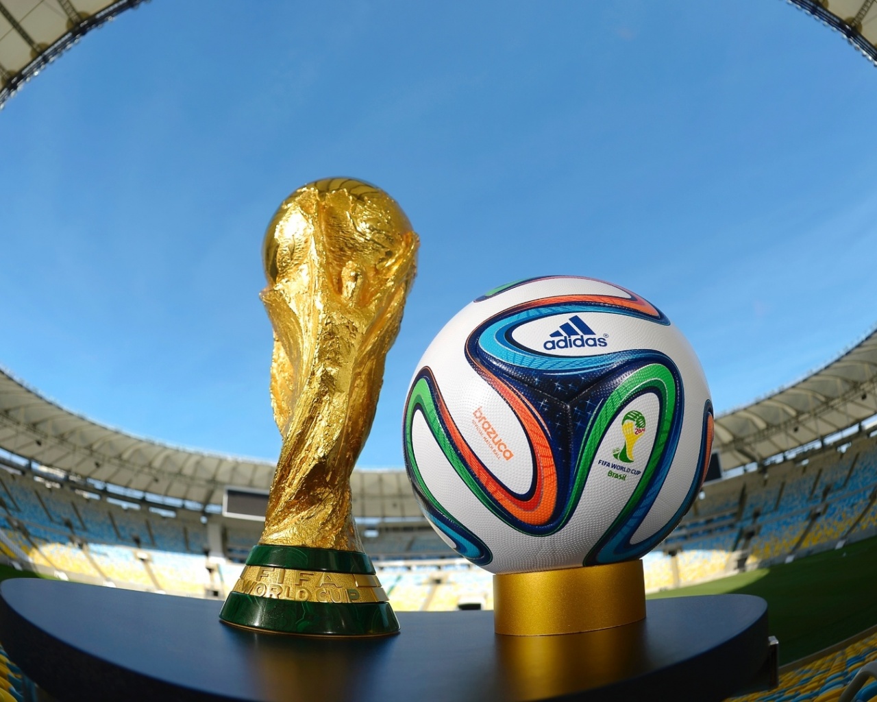 Brazil 2014 World Cup Trophy Brazuca