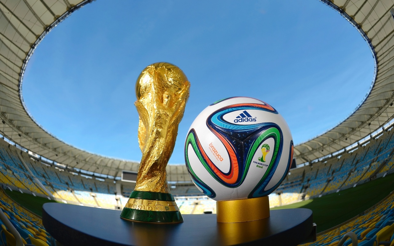 Brazil 2014 World Cup Trophy Brazuca