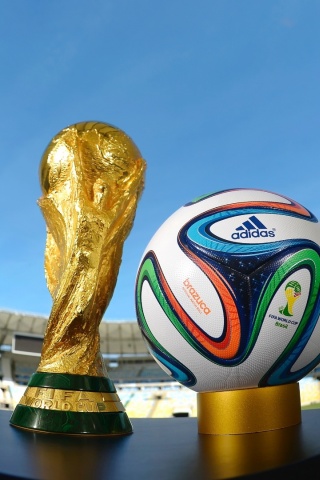 Brazil 2014 World Cup Trophy Brazuca