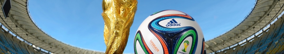 Brazil 2014 World Cup Trophy Brazuca