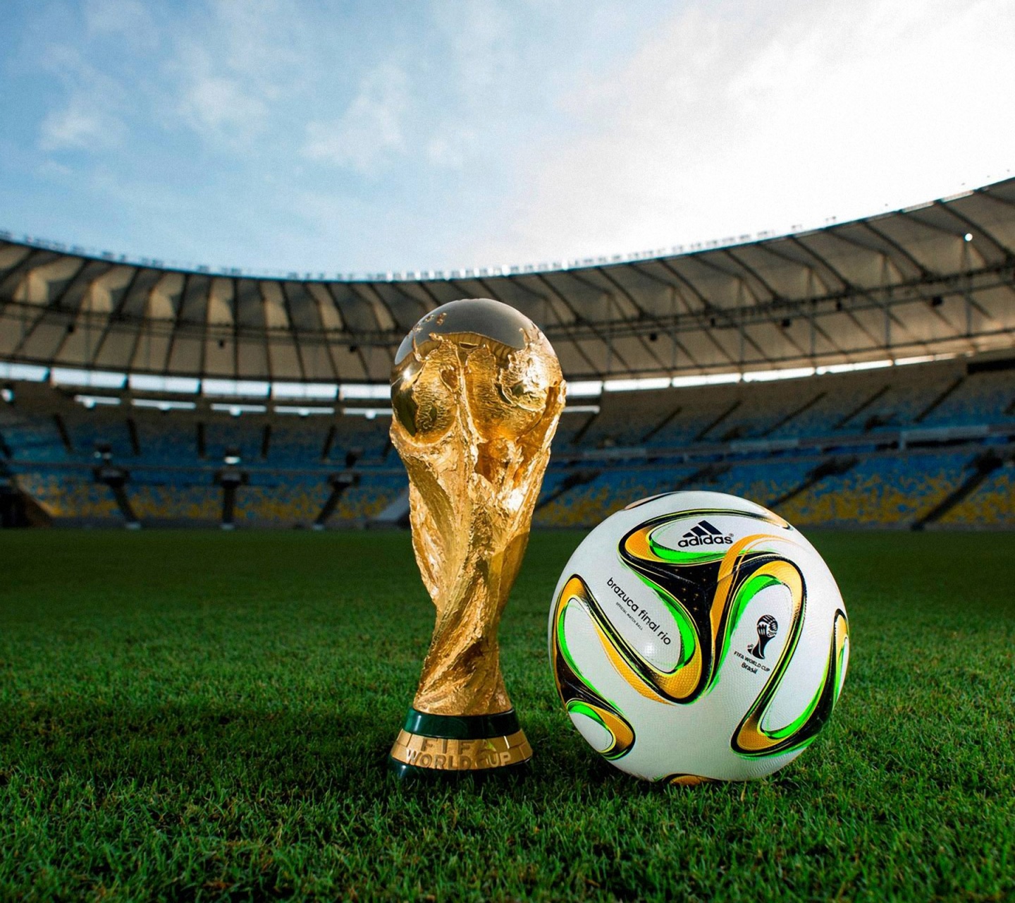 Brazuca 2014 WC Final Match Ball