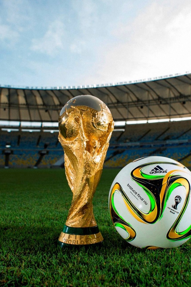 Brazuca 2014 WC Final Match Ball