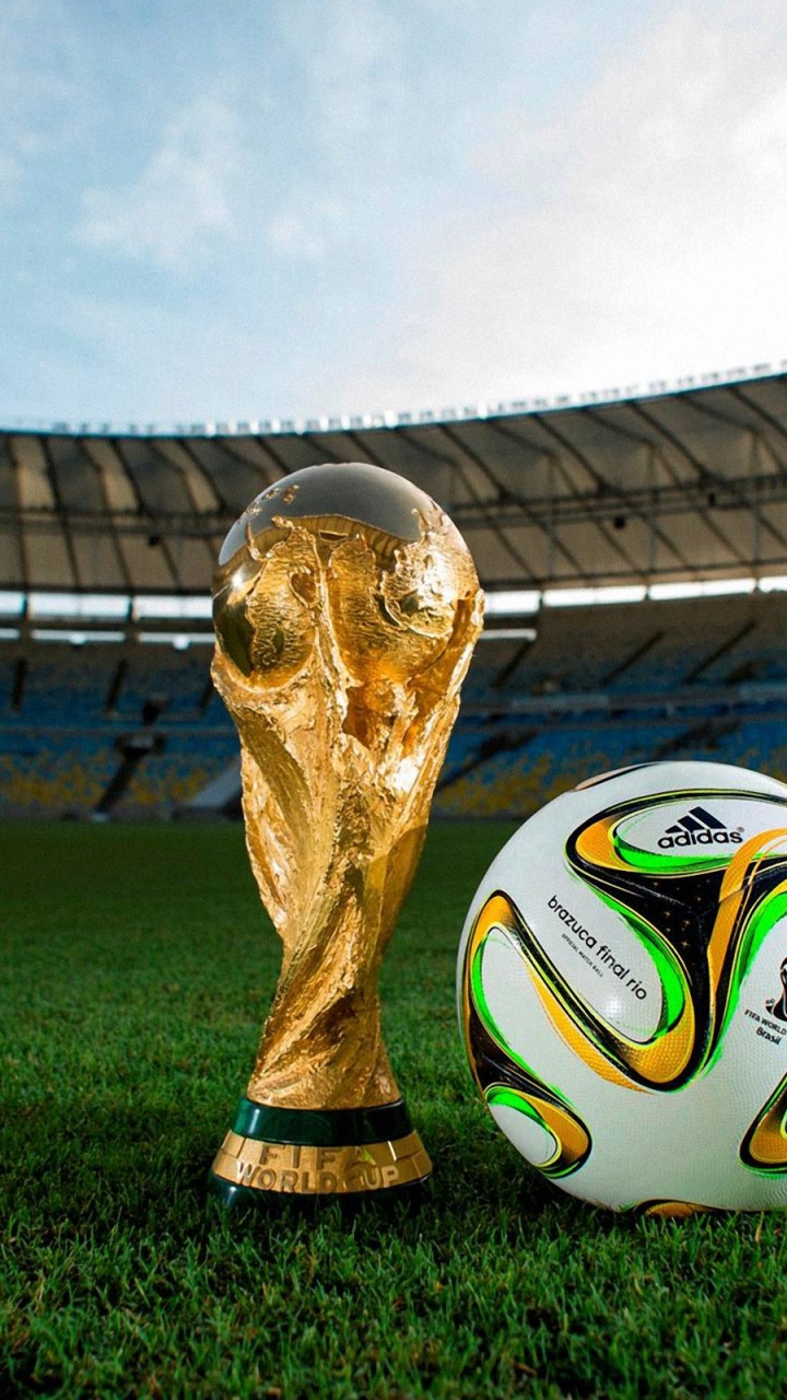 Brazuca 2014 WC Final Match Ball