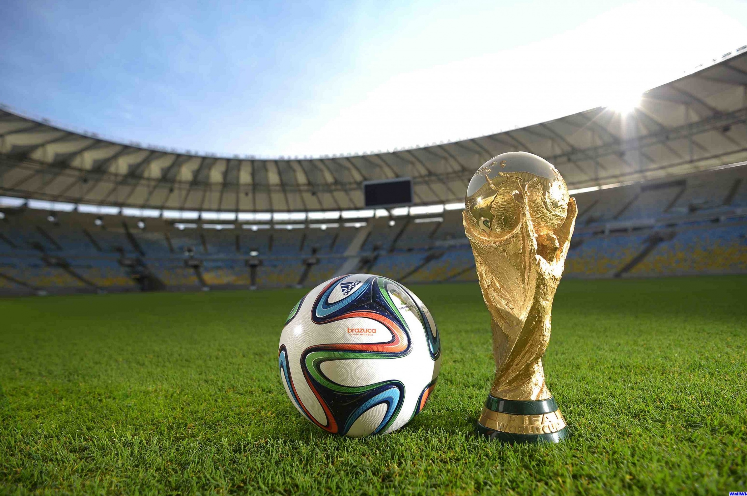 Brazuca Ball World Cup Trophy 2014