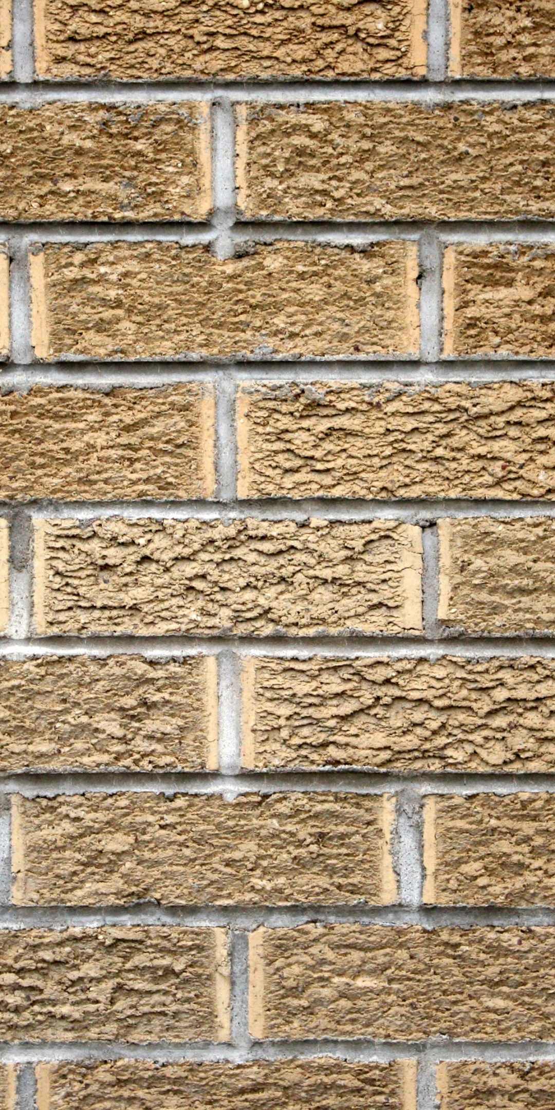 Brick Wall Texture