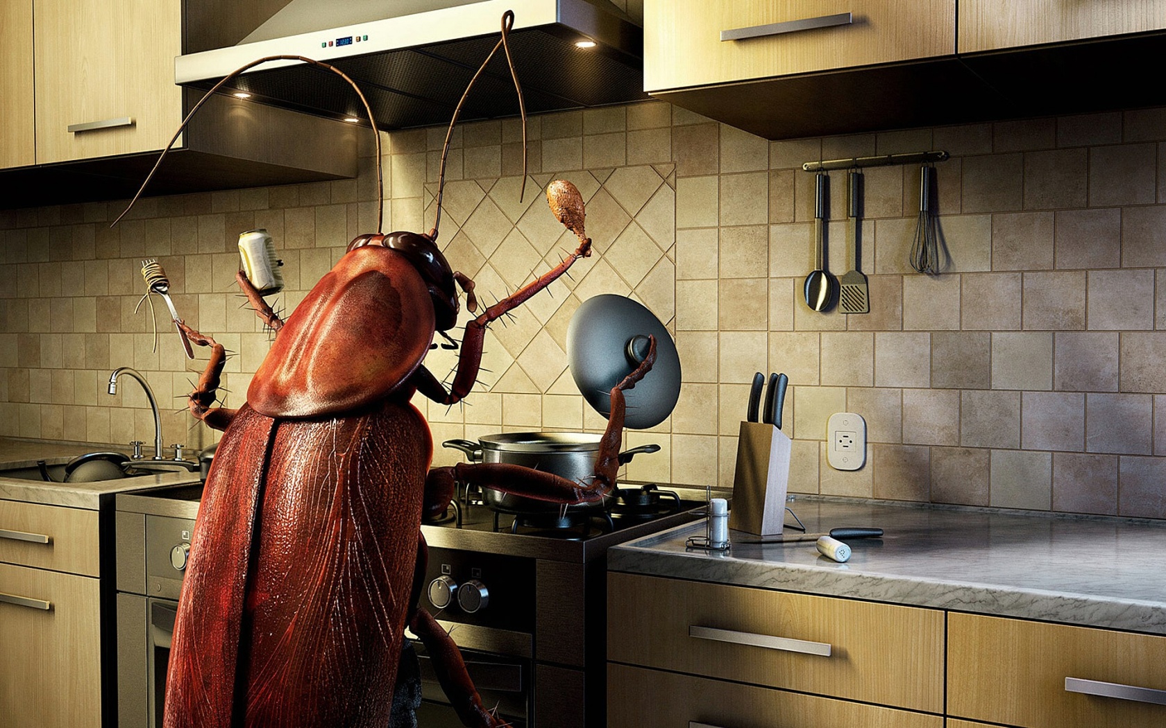 Bug Cooking