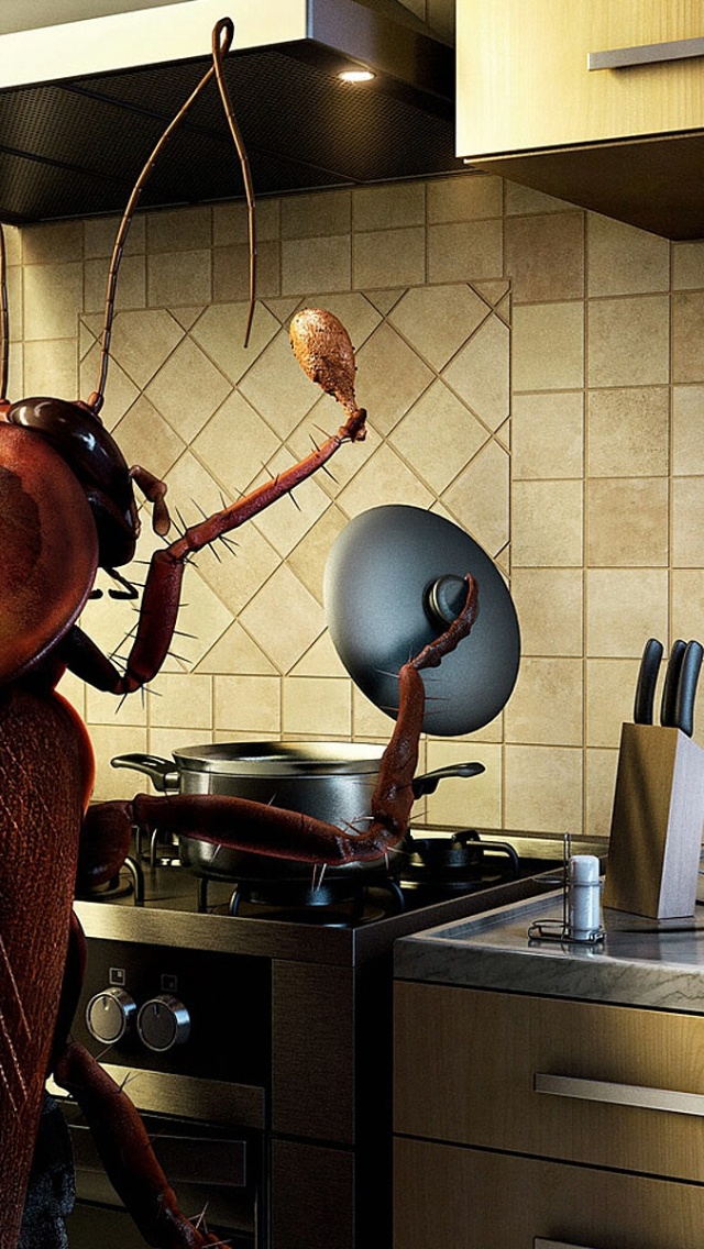 Bug Cooking