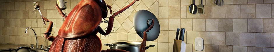 Bug Cooking