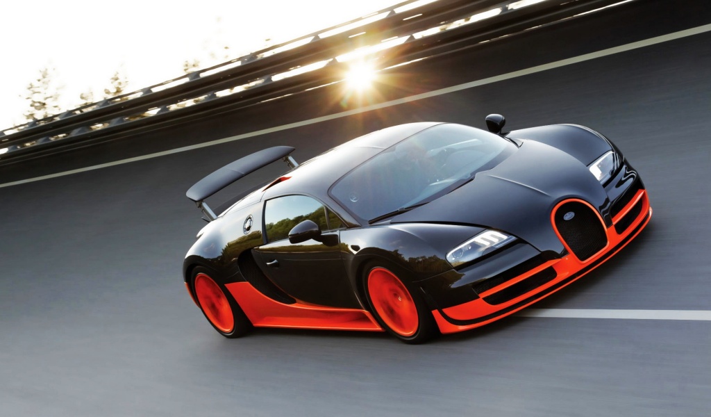 Bugatti Veyron Ss 2010