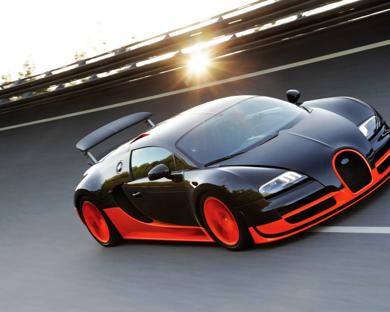 Bugatti Veyron Ss 2010