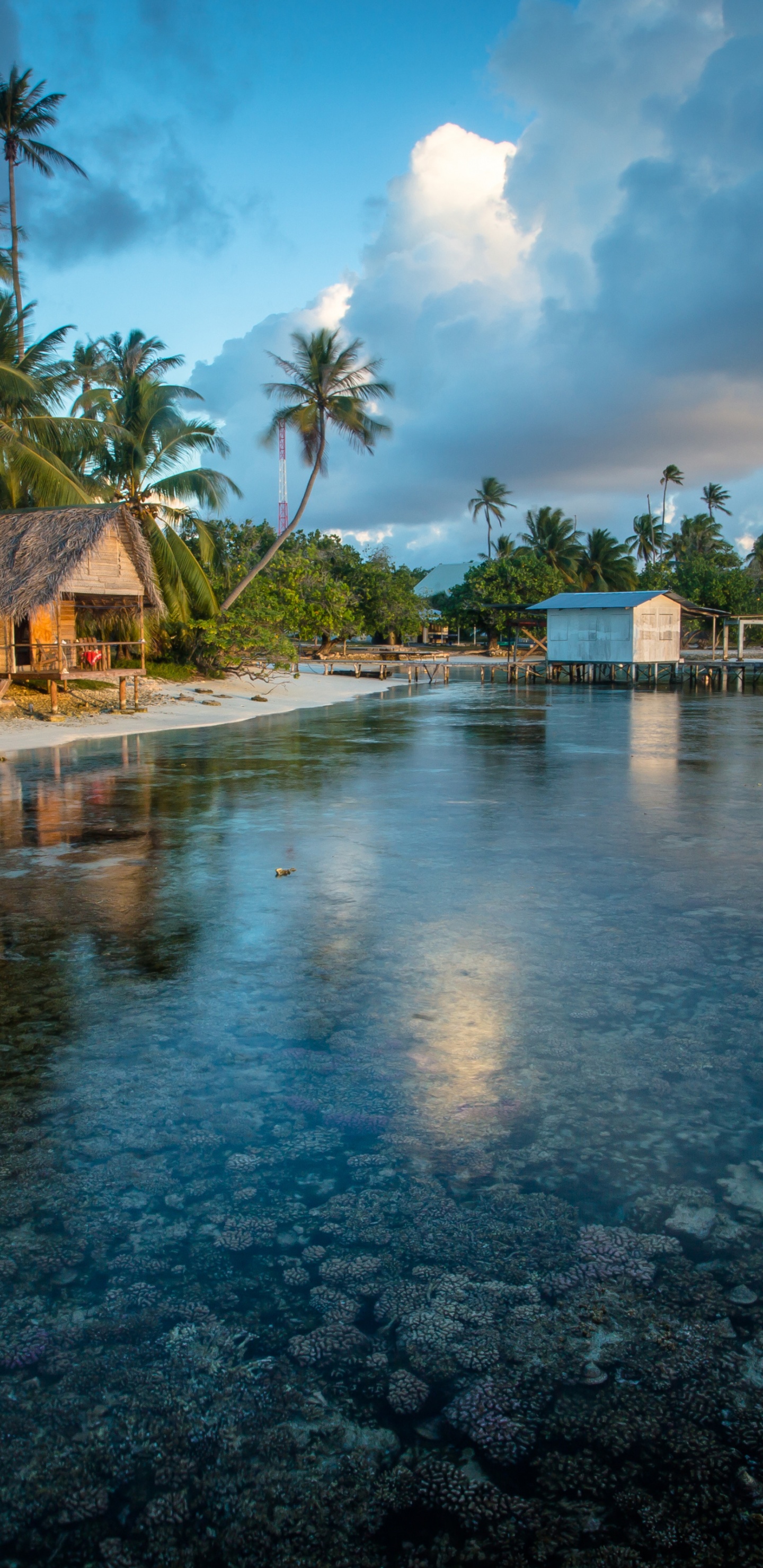 Bungalows In French Polynesia