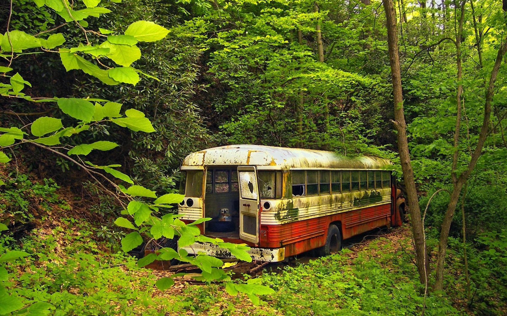 Bus Neglect Forest Nature Landscape